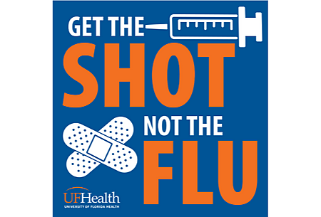 Get the Shot not the Flu