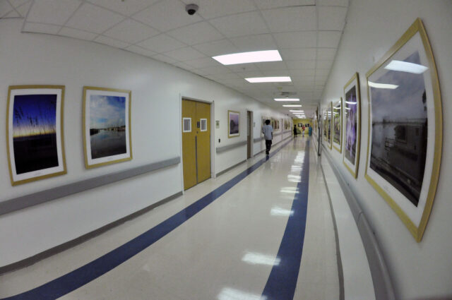 Art decorates hallways of medical building